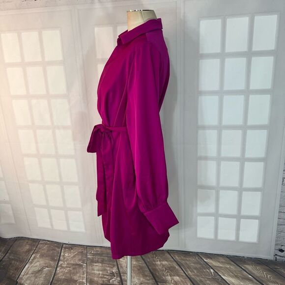 Fashion Nova Fuchsia Long Sleeve Dress - Picture 11 of 13